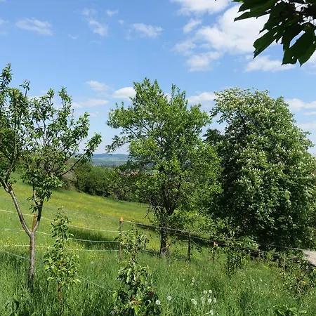Panorama-domizil Tauchershof *
