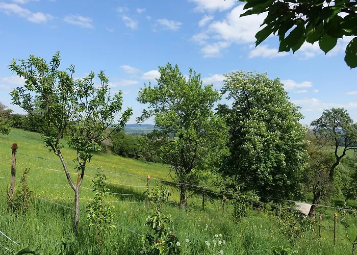 Panorama-domizil Tauchershof *